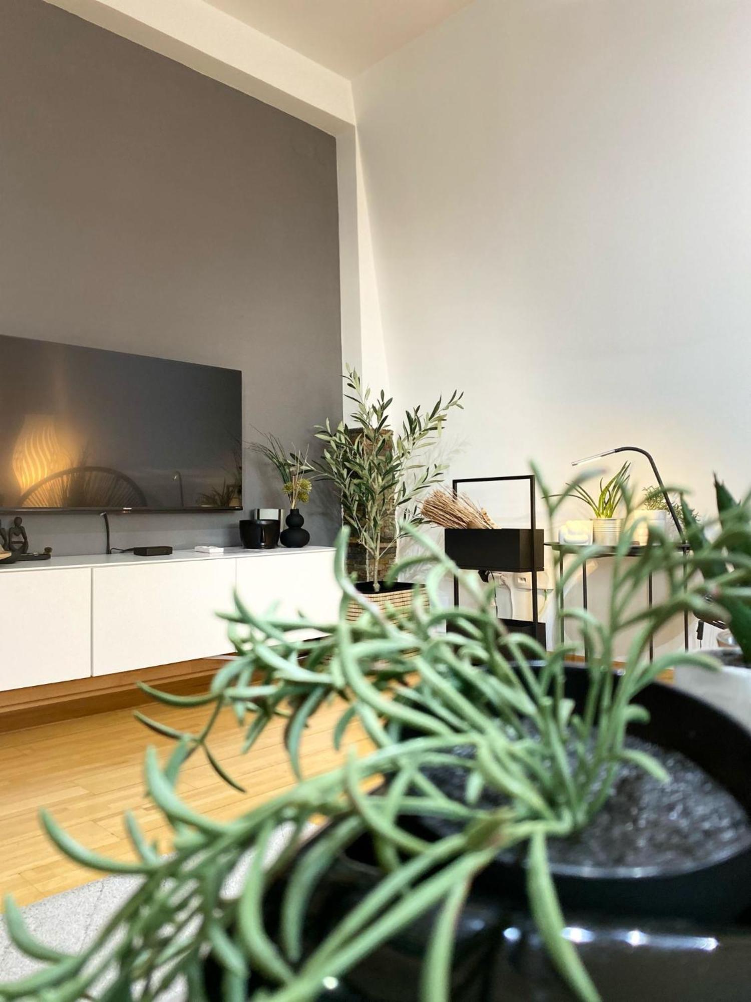 Apartman Riva Kraljevo Exterior foto
